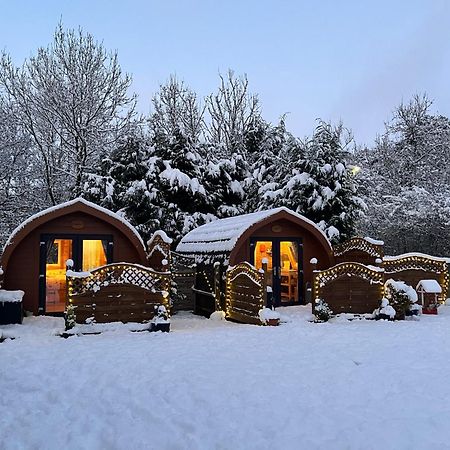 Conifer Cabins Fort William Kültér fotó