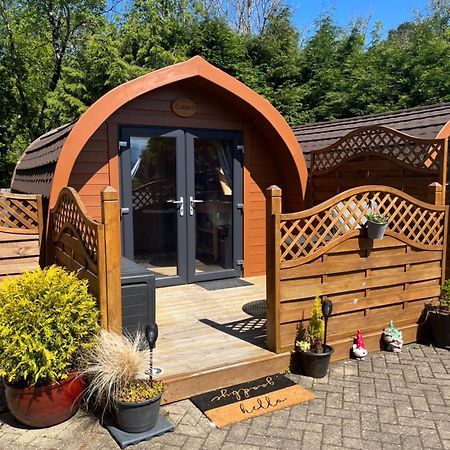 Conifer Cabins Fort William Kültér fotó