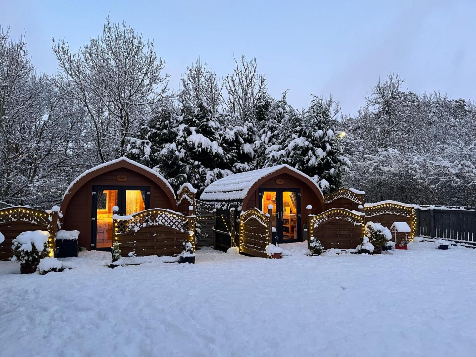 Conifer Cabins Fort William Kültér fotó