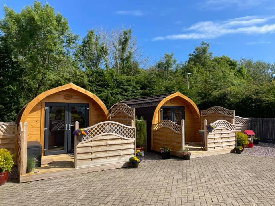 Conifer Cabins Fort William Kültér fotó